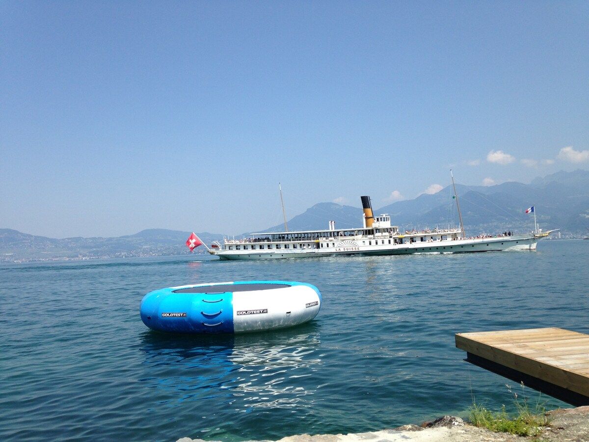 A CGN paddle steamer passing the shore